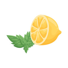 Vector design of lemon and citrus  sign. Collection of lemon and leaf stock symbol for web.