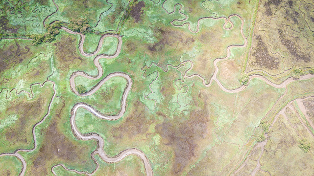 aerial view of serpentine marsh