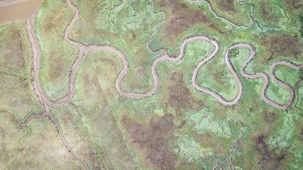 aerial view of serpentine marsh