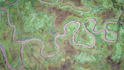 aerial view of serpentine marh