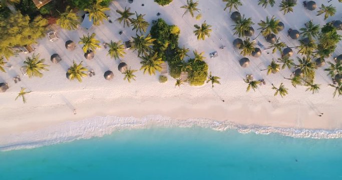 Aerial view of sea waves, umbrellas, green palms on the sandy beach at sunset. Summer in Zanzibar, Africa. Tropical landscape with palm trees, people, parasols, sand, blue water. Top view from air