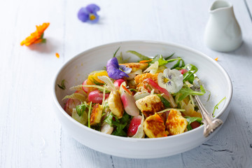 Fresh summer salad with radishes, fennel and halloumi cheese