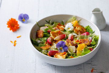 Fresh summer salad with radishes, fennel and halloumi cheese