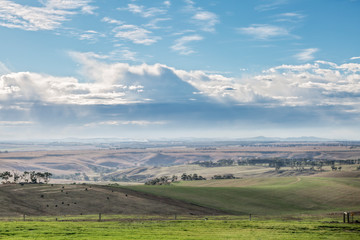 The view from Marnong Estate, Mickleham