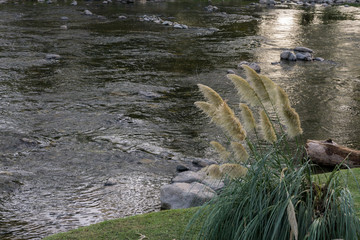 Scene view of Calamuchita river during summer sunset