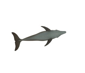 Obraz premium Dolphin isolated on white 3D Rendering