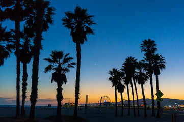 Fototapeta na wymiar Santa Monica sunset between trees in California, USA 