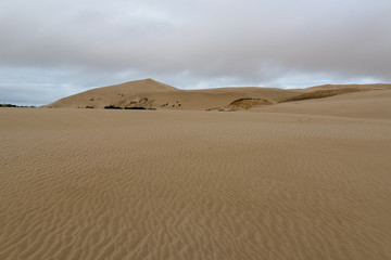 Fototapeta na wymiar Te Paki sand dunes under an overcast sky. Northland, New Zealand.