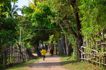 ラオスのシーパンドン　メコン川に囲まれた島のデット島　緑豊かな道を歩く村の子供