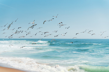 Beautiful Seascape in Blue and Turquoise Colors. Flock of Flying Pelicans over the Sea.