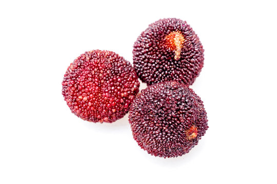 Red bayberry with white background..