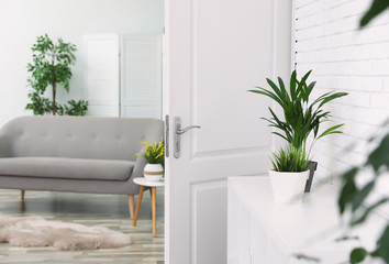 Living room interior with stylish furniture and open door