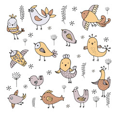 Cute birds in vector. Cartoon set on white background