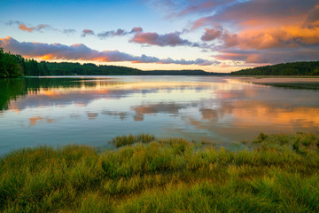 Oyster Bay Spring Colors And Grasslands