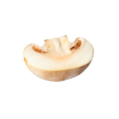 Piece of fresh mushroom on white background