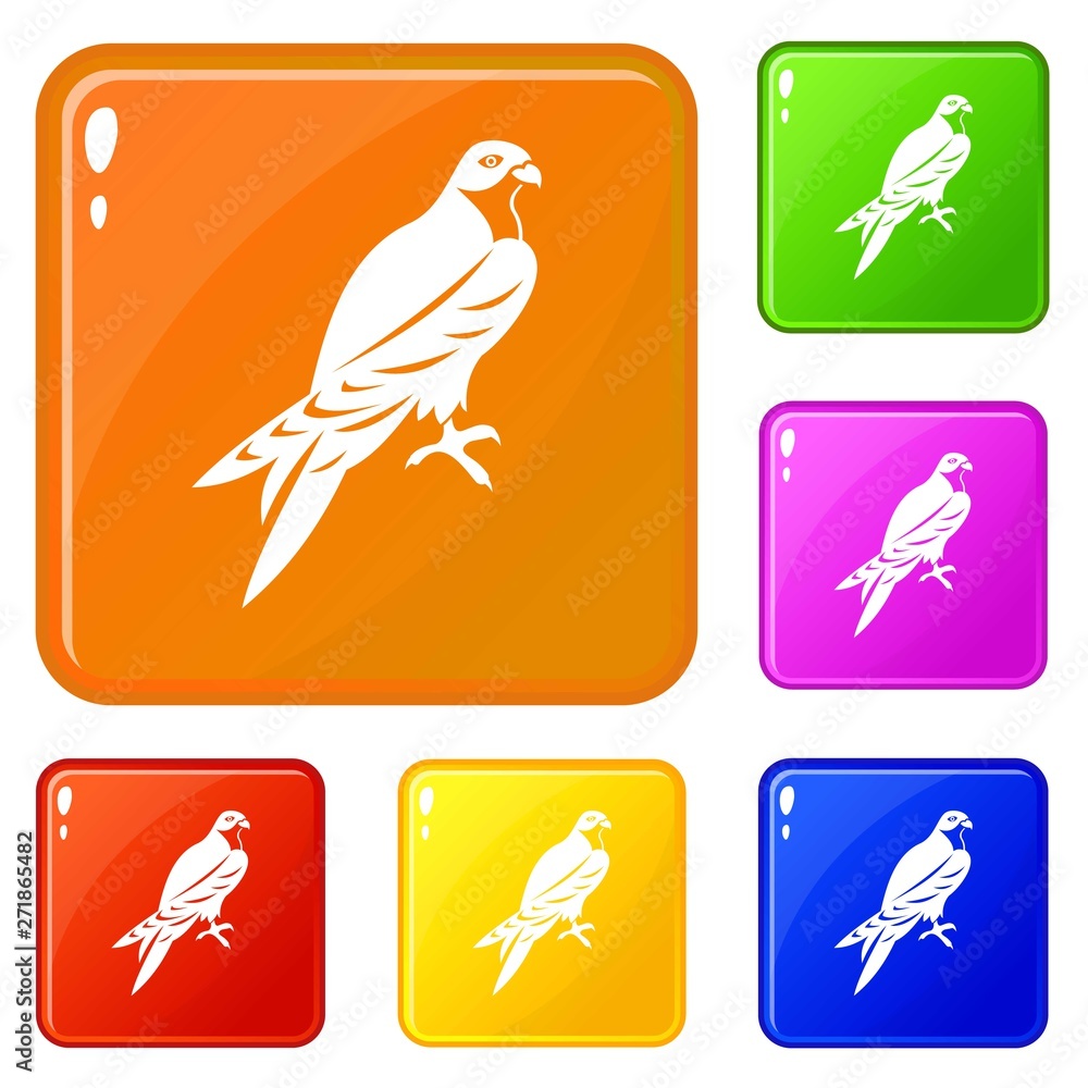 Poster falcon icons set collection vector 6 color isolated on white background