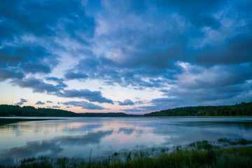Fototapeta premium Oyster Bay Spring Colors And Grasslands
