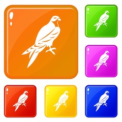 Falcon icons set collection vector 6 color isolated on white background