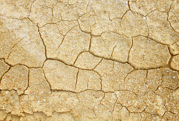 Cracked soil