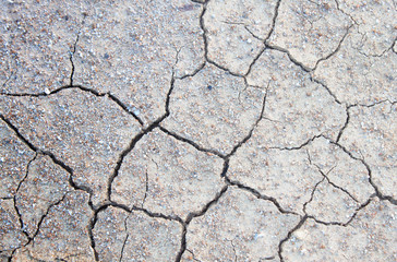 Cracked soil