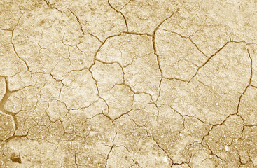 Cracked soil