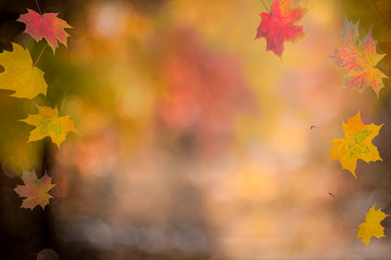 Naklejka na ściany i meble autumn background, bokeh effect