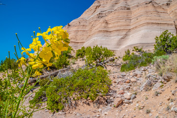 Beautiful Morning Hike to the Tent Rocks in New Mexico