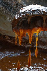 produccion de piloncillo