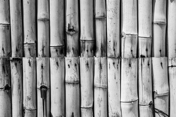 Bamboo Texture Background (Black and White)