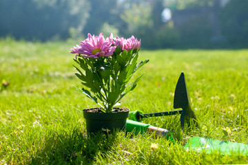 Close up of Gardening tools on the green grass lawn. Countryside view. Landscape. Still life....