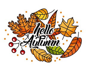hello autumn season greeting card