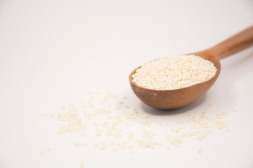 fresh sesame seeds, Sesamum indicum.