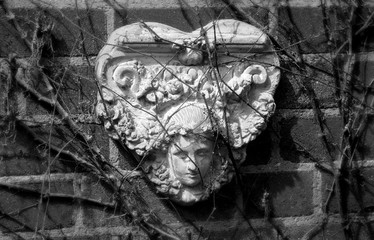 Black and white — closeup, a Cherub garden ornament overgrown with leafless vines, selective soft focus.