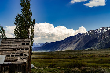Landscape of the northern side os Mono Lake with beautiful meadows and mountains