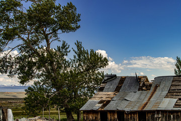 Fototapeta na wymiar Old barn and tree
