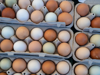 Overhead view of white and brown eggs sitting in a carton