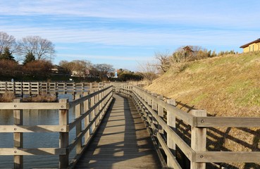風景　冬　池　橋　公園　杤木