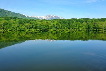 新潟県　糸魚川市にある初夏の蓮華白池