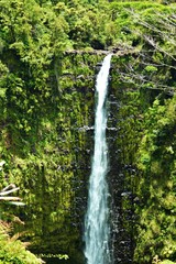 Hawaii Akaka Falls 