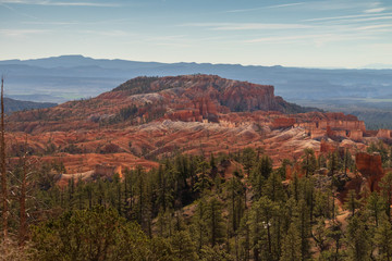Fototapeta premium Bryce Canyon National Park, Utah, USA