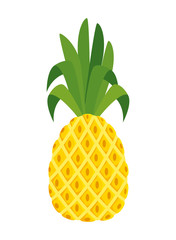 summer fresh fruit pineapple icon