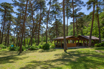 【飯田】妙琴公園キャンプ場