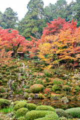 Autumn colors at the Japanese garden of Kongourinji, a temple in Shiga prefecture, Japan