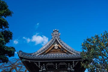 日本の神社の風景