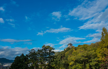 夏の綺麗な犬山城の風景