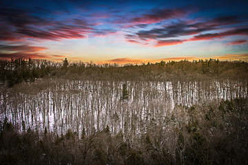 Fototapeta premium Open field at sunset