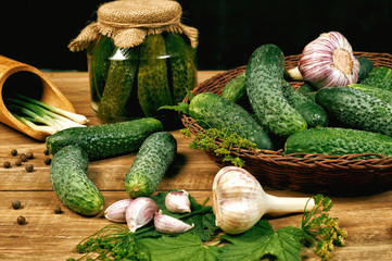 Fresh and pickled cucumbers, homemade canned vegetables for the winter