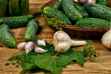 Fresh and pickled cucumbers, homemade canned vegetables for the winter