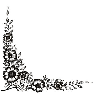 black and white graphic flowers, leaves and insects