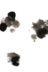 Brush painted black drops on white background